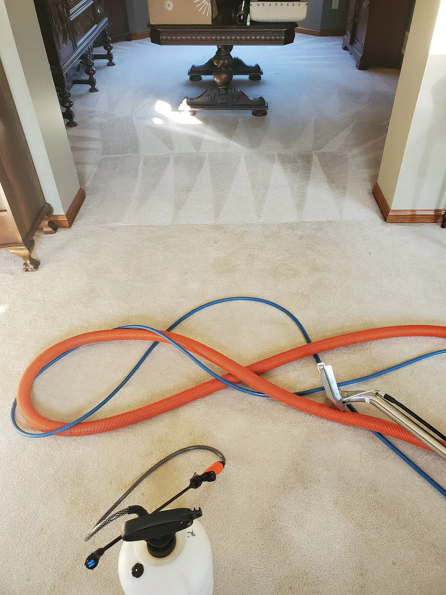 Truck-mount hoses laid out across carpet — full room extraction in progress
