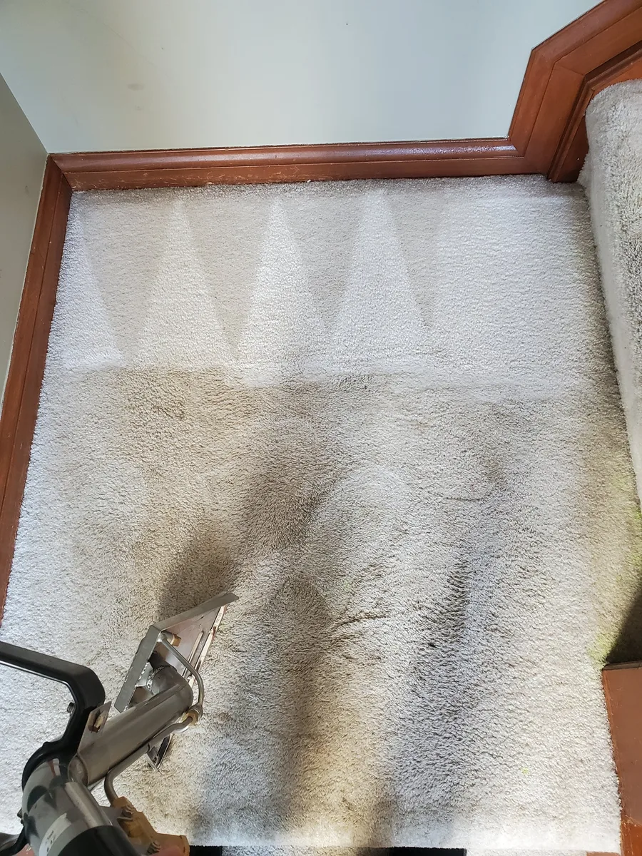 Staircase carpet mid-extraction — dramatic before/after visible in one shot
