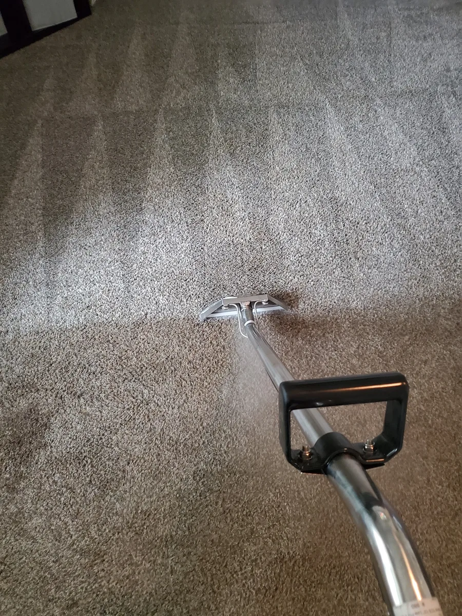 Carpet being cleaned with hot water extraction wand — fresh pass visible