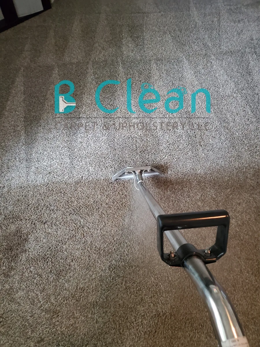 B Clean truck-mount wand cleaning dark carpet — cleaning stripes visible